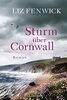 Sturm über Cornwall: Roman