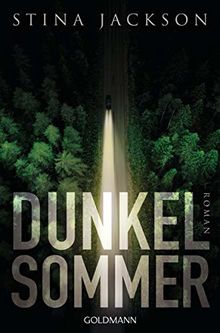 Dunkelsommer: Roman