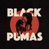 Black Pumas [Vinyl LP]