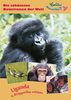 Uganda & Berggorillas erleben: Die schönsten Naturreisen der Welt