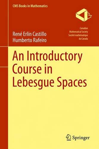 An Introductory Course in Lebesgue Spaces (CMS Books in Mathematics)