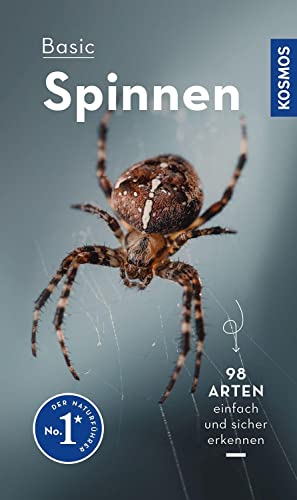 Kosmos-Naturführer Basics   Basic Spinnen - Lars Wilker Kartoniert (TB)