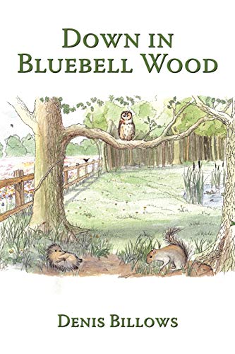 Down in Bluebell Wood