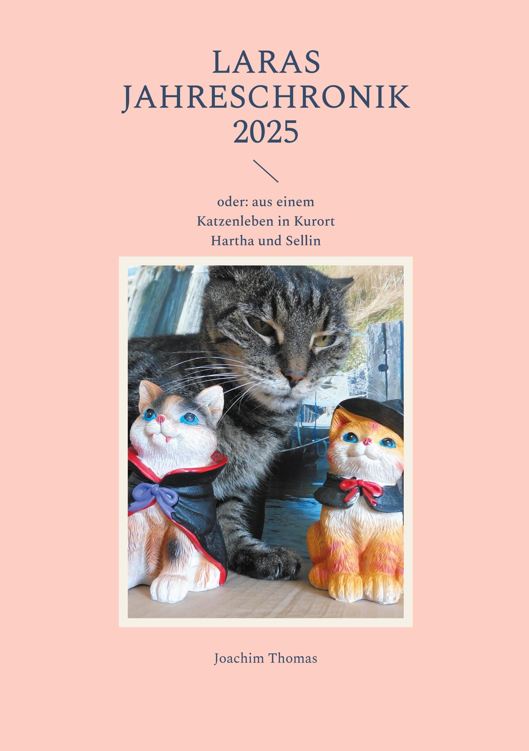 Laras Jahreschronik 2025: oder: aus einem Katzenleben in Kurort Hartha und Sellin