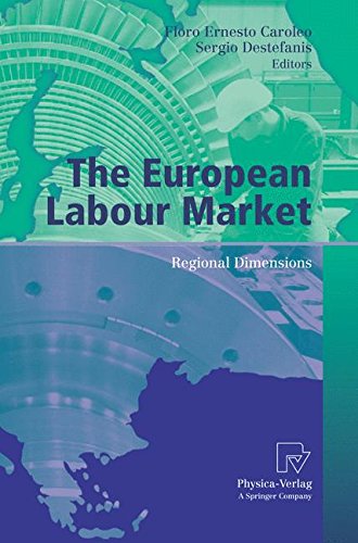 The European Labour Market: Regional Dimensions (AIEL Series in Labour Economics)