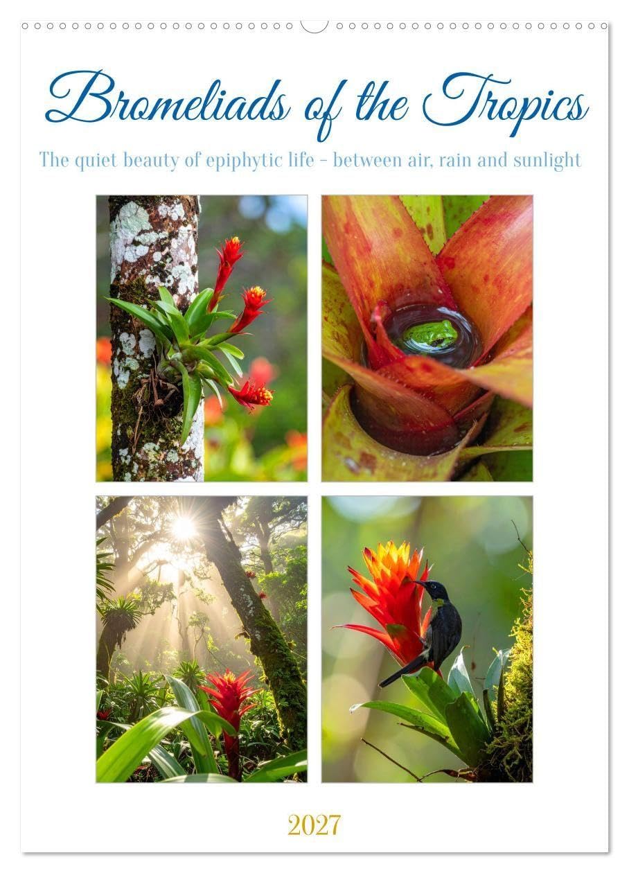 Bromeliads of the Tropics (Wall Calendar 2027 DIN A2 portrait), CALVENDO 12 Month Wall Calendar