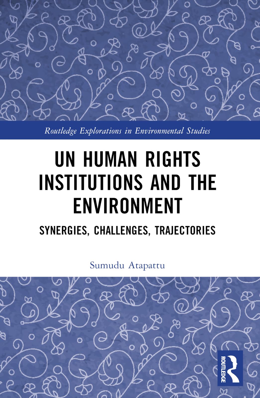 UN Human Rights Institutions and the Environment: Synergies, Challenges, Trajectories (Routledge Explorations in Environmental Studies)