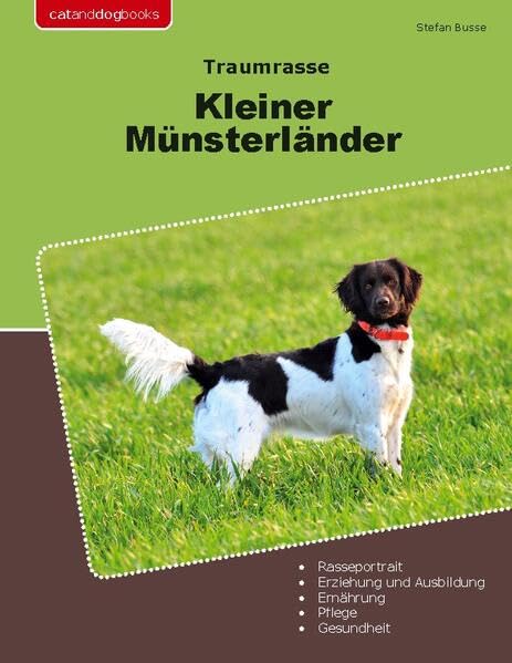 Traumrasse Kleiner Münsterländer - Neuware
