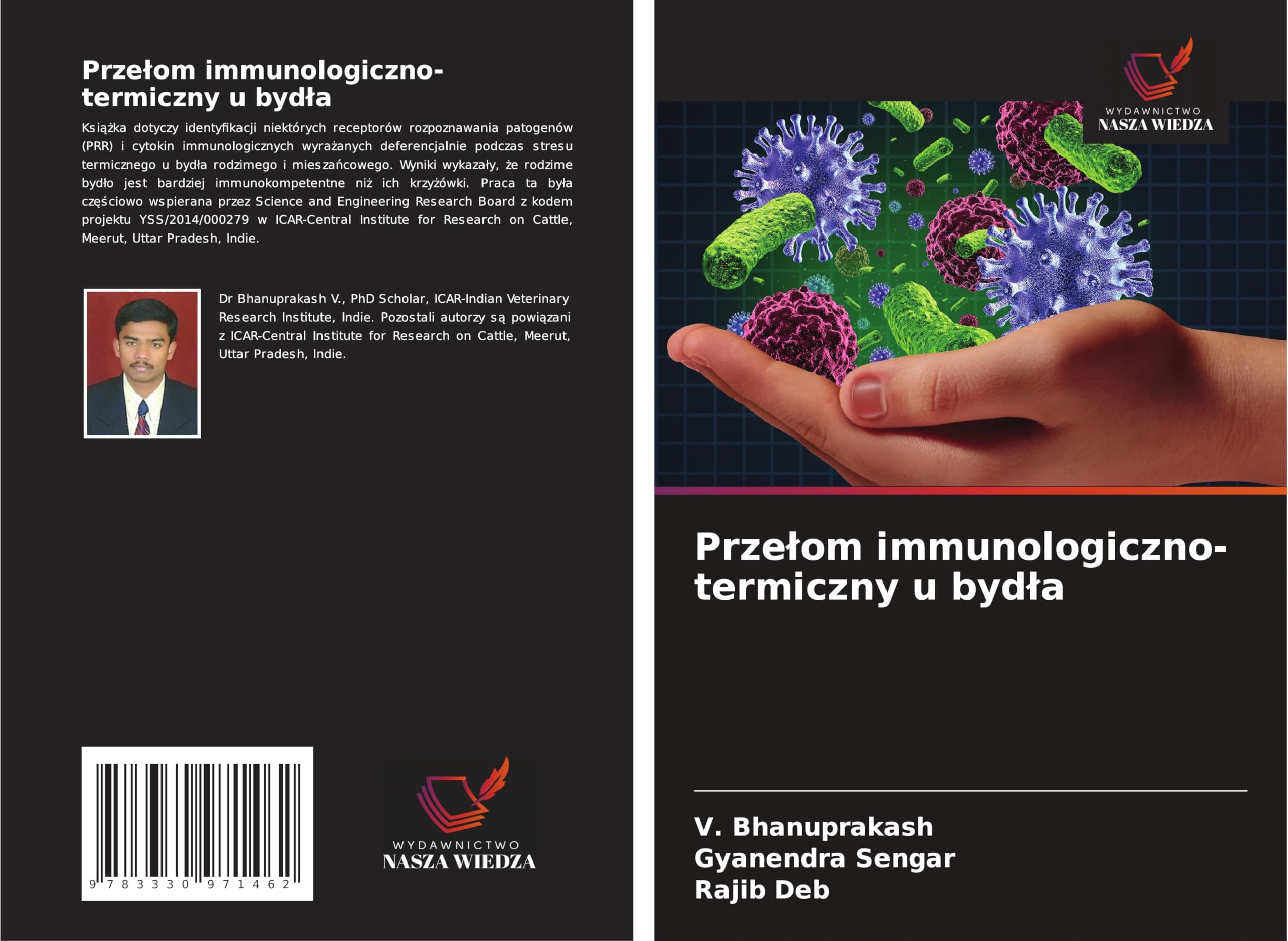 Prze¿om immunologiczno-termiczny u byd¿a