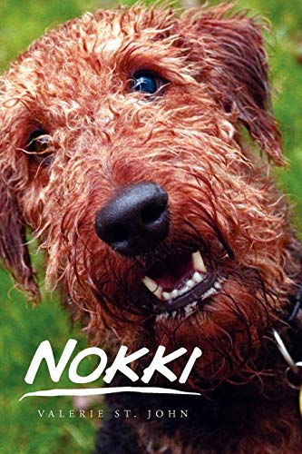 NOKKI