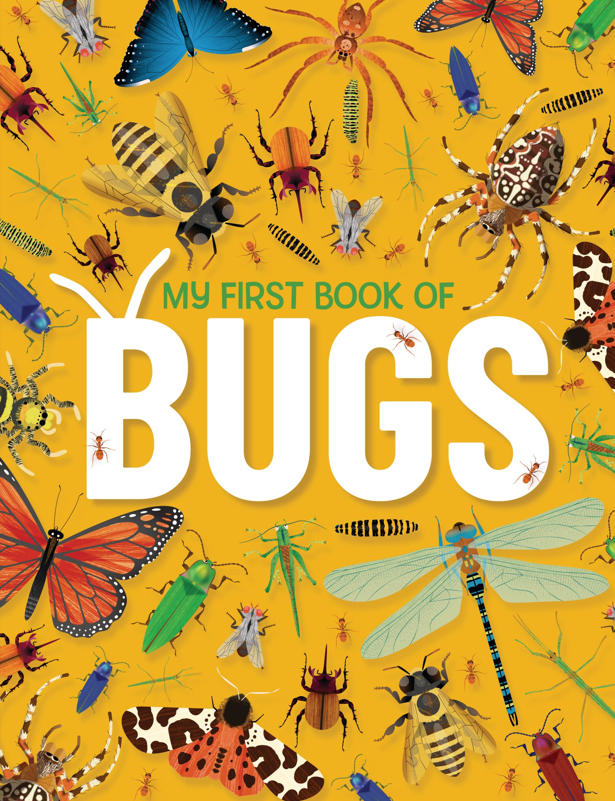 My First Book of Bugs (My First Book Of..., 1)