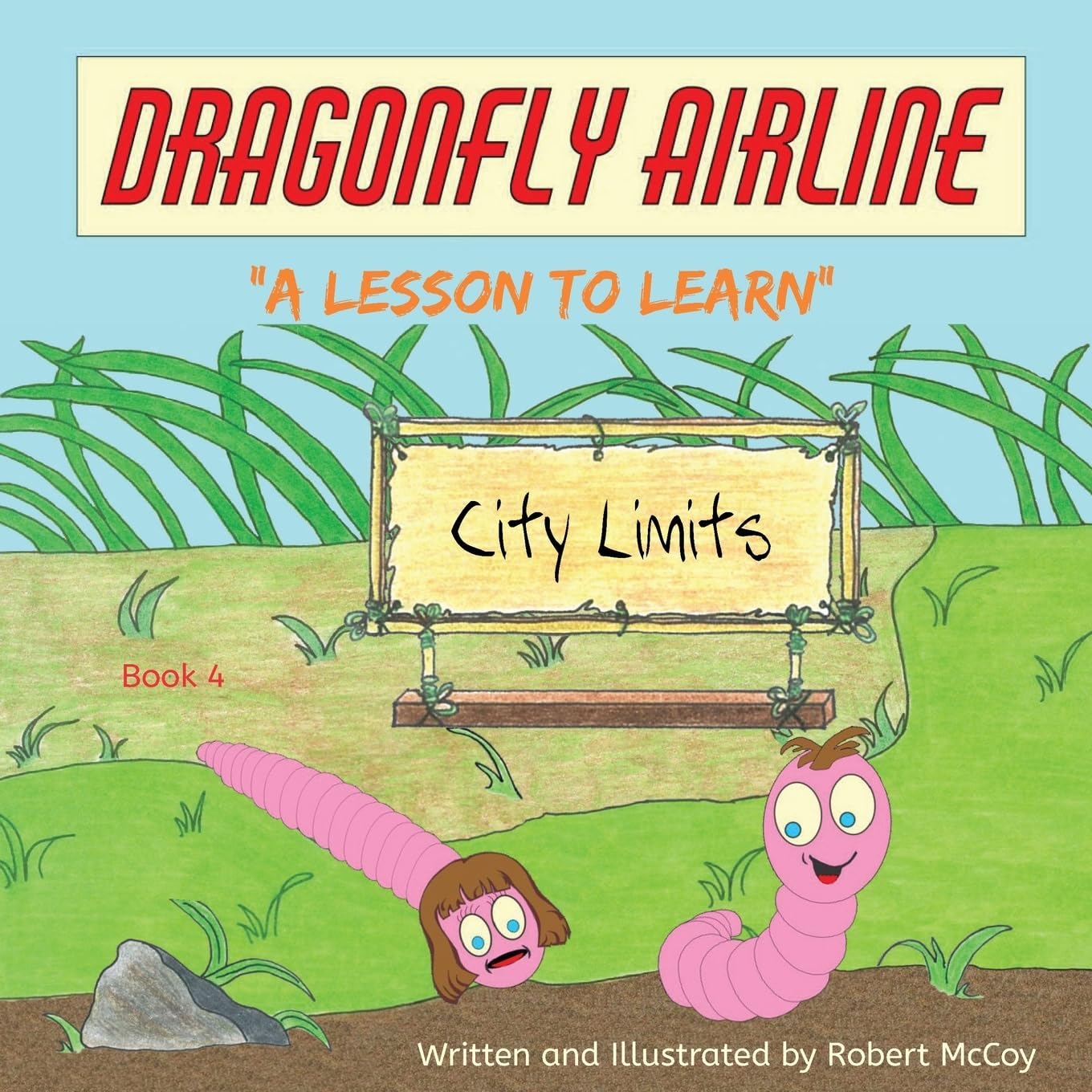 Dragonfly Airline - A Lesson to Learn