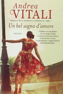 Un bel sogno d'amore