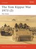 The Yom Kippur War 1973 (2): The Sinai: Sinai Pt. 2 (Campaign)