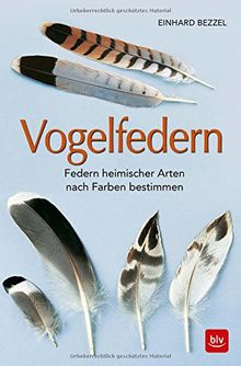Vogelfedern: Federn heimischer Arten nach Farben bestimmen