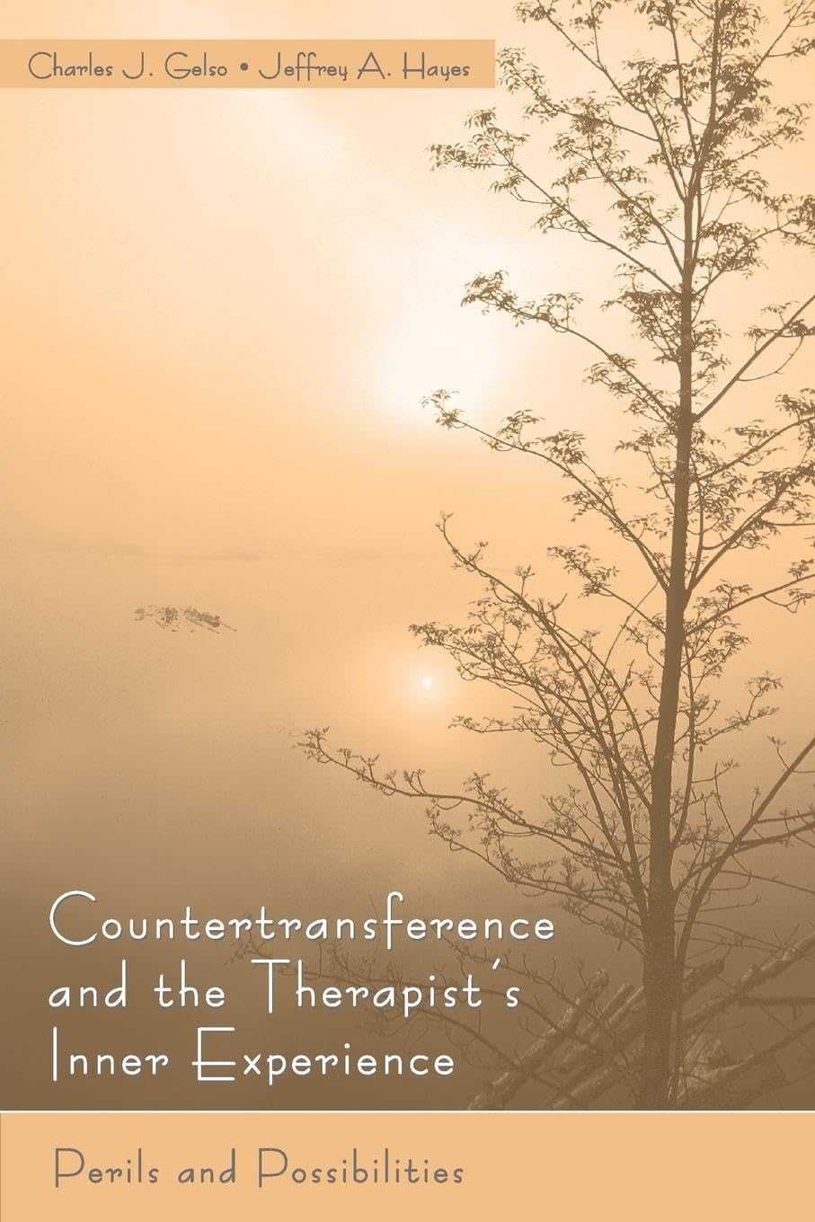 Gelso, Charles J. Countertransference And The Therapist's Inner Experience, Perils And Possibilities