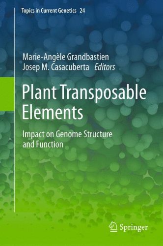 Plant Transposable Elements: Impact on Genome Structure and Function (Topics in Current Genetics)
