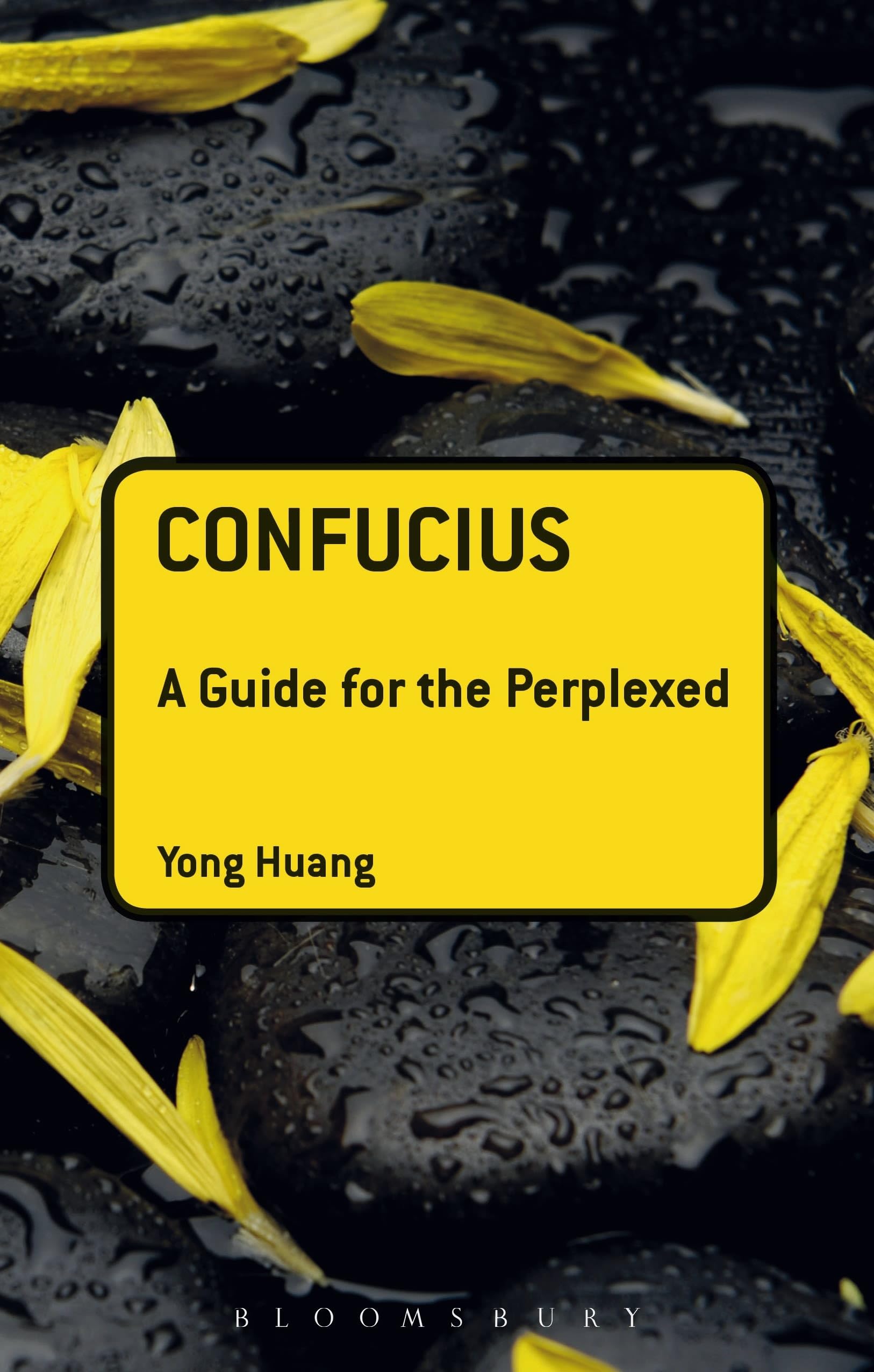 Confucius: A Guide for the Perplexed (Guides for the Perplexed)