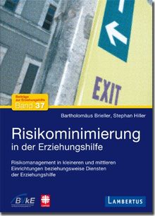 Risikominimierung in der Erziehungshilfe: Risikomanagement in kleineren und mittleren Einrichtungen beziehungsweise Diensten der Erziehungshilfe