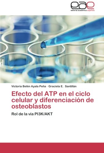 Efecto del ATP en el ciclo celular y diferenciación de osteoblastos: Rol de la vía PI3K/AKT