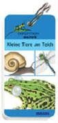 Expedition Natur - Kleine Tiere am Teich