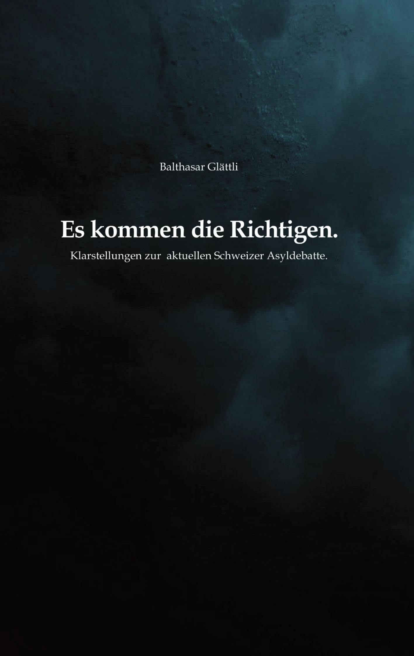 Es kommen die Richtigen.: Klarstellungen zur aktuellen Schweizer Asyldebatte