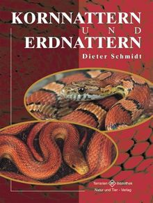 Kornnattern und Erdnattern