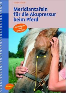 Meridiantafeln für die Akupressur beim Pferd