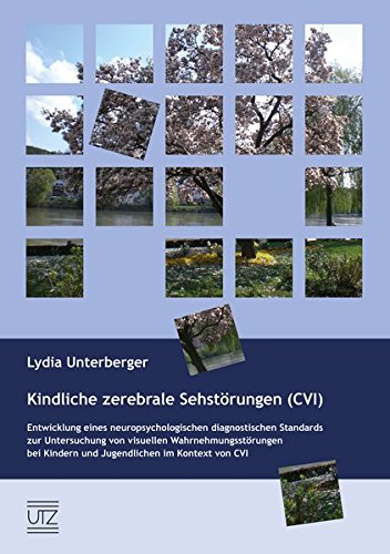 Kindliche zerebrale Sehstörungen (CVI): Entwicklung eines neuropsychologischen diagnostischen Standards zur Untersuchung von visuellen ... Jugendlichen im Kontext von CVI (Psychologie)