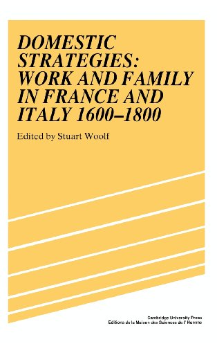 Domestic Strategies: Work and Family in France and Italy, 1600–1800 (Studies in Modern Capitalism)