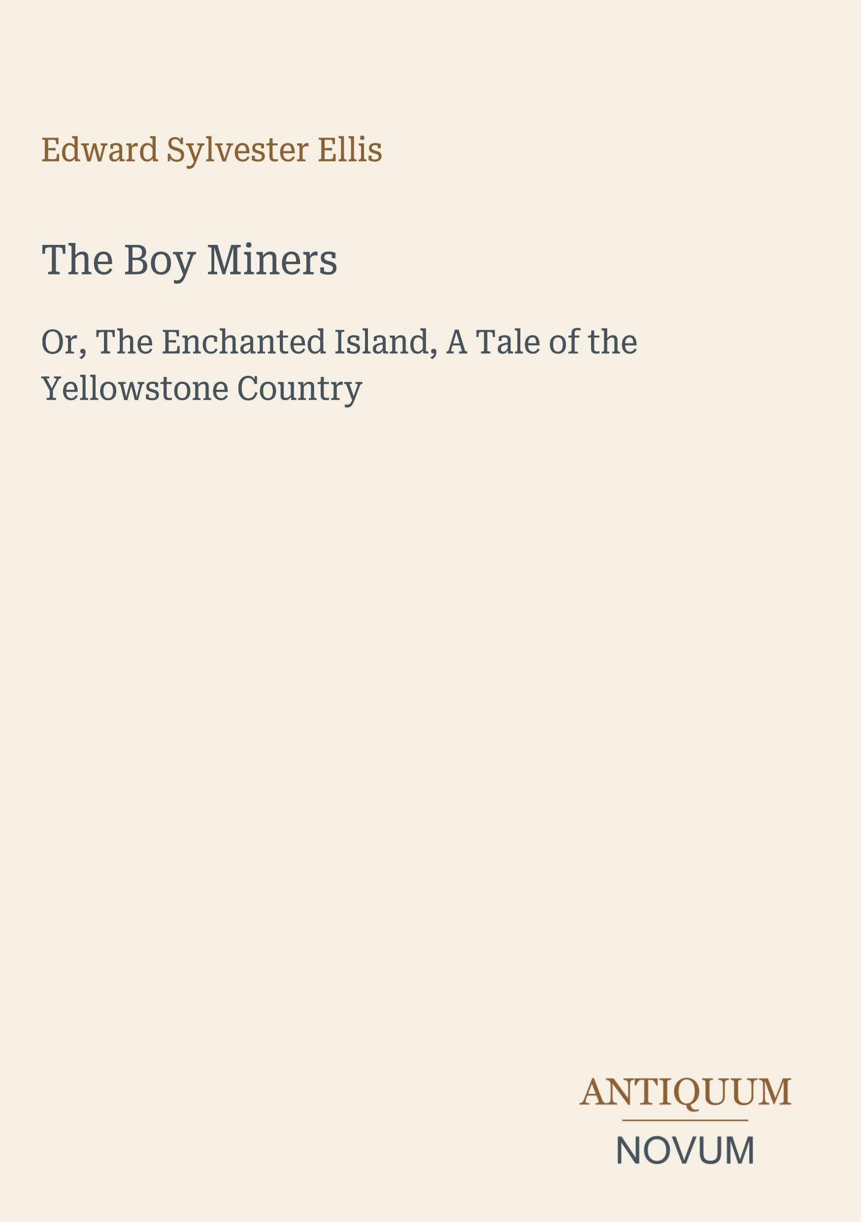 The Boy Miners