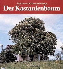 Der Kastanienbaum