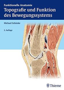 Topografie und Funktion des Bewegungssystems: Funktionelle Anatomie