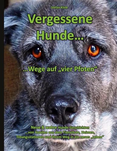 Vergessene Hunde: ...Wege auf vier Pfoten (Hund mit Streifen)