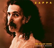 The Yellow Shark
