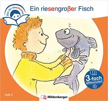Zeit für Geschichten – 3-fach differenziert, Heft 5: Ein riesengroßer Fisch – C