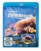 Clownfisch-Aquarium [Blu-ray]