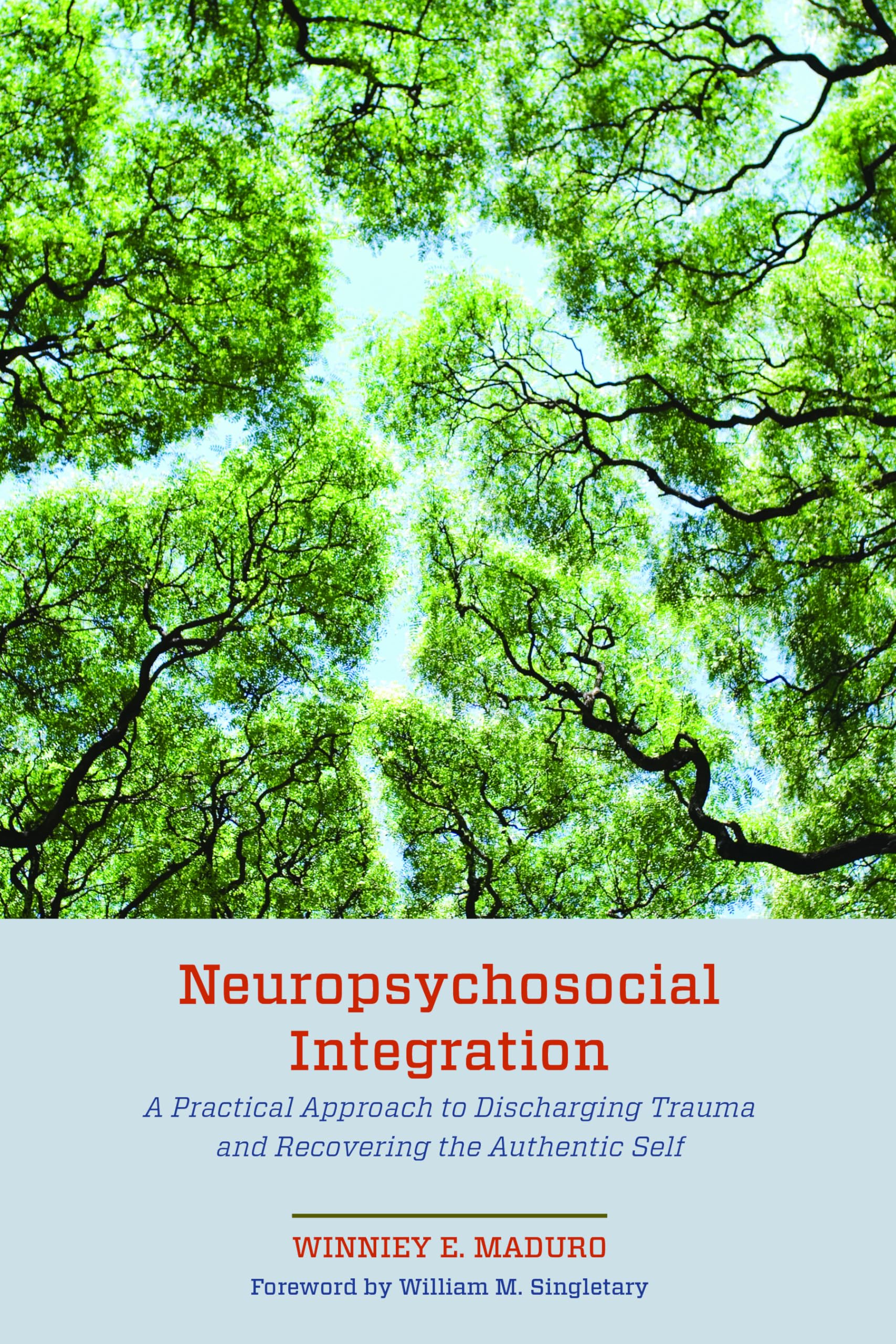 Neuropsychosocial Integration: A Practical Approach to Discharging Trauma and Recovering the Authentic Self