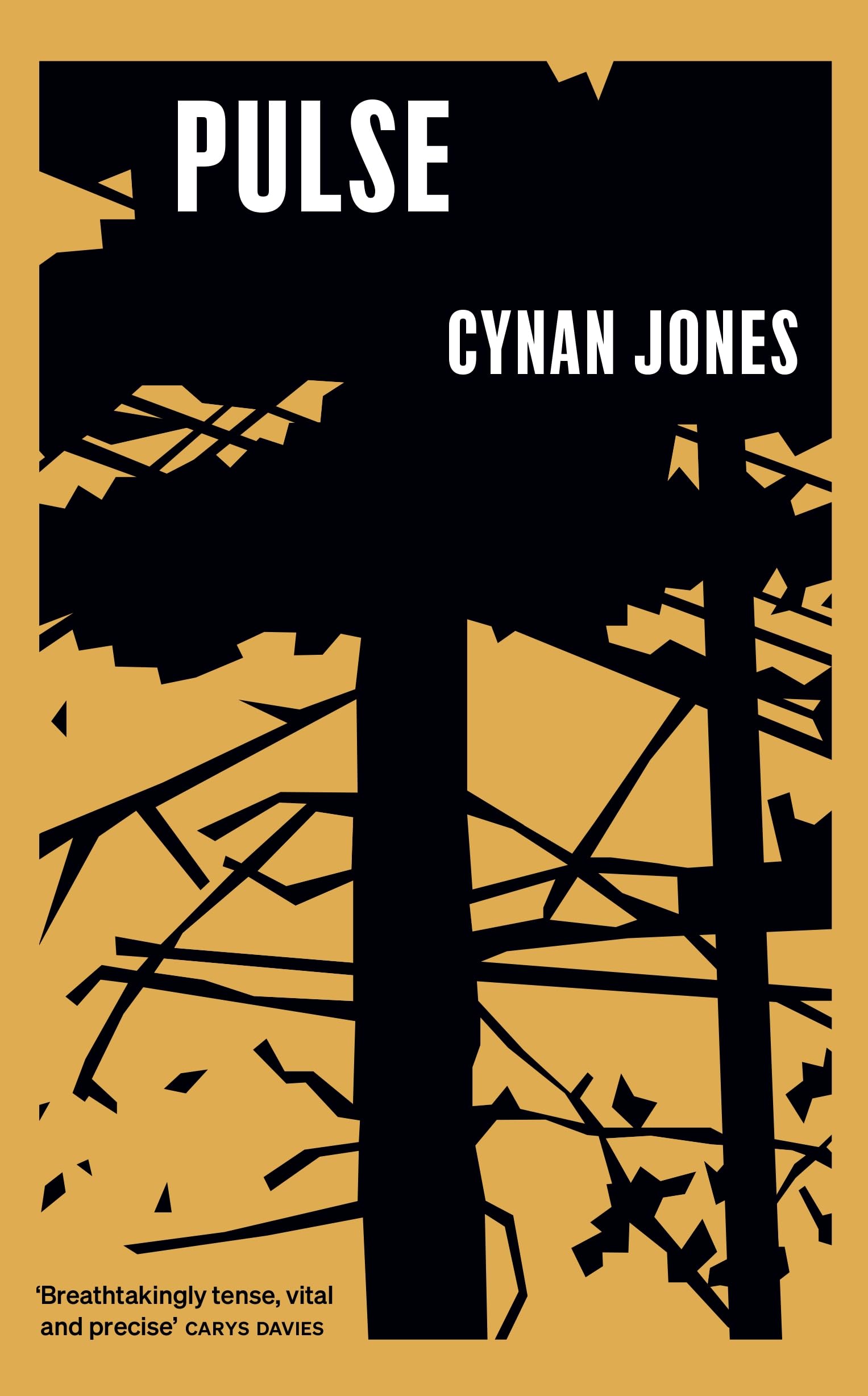 Jones, Cynan: Pulse