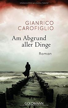 Am Abgrund aller Dinge: Roman