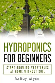 Hydroponics for Beginners: Start Growing Vegetables at Home Without Soil