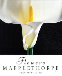 Robert Mapplethorpe Flowers (Hardback)