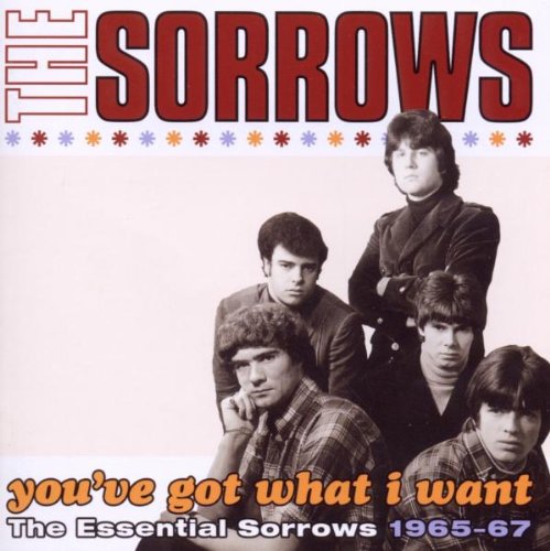 You've Got What I Want-the Essential..
