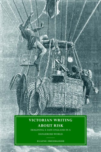 Victorian Writing about Risk: Imagining a Safe England in a Dangerous World (Cambridge Studies in Nineteenth-Century Literature and Culture, Band 28)