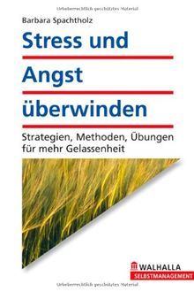 Stress und Angst überwinden: Strategien, Methoden, Übungen für mehr Gelassenheit