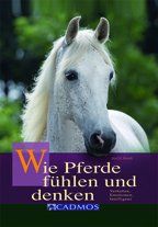 Wie Pferde fühlen und denken: Verhalten, Emotionen, Intelligenz von Wendt, Marlitt | Buch | Zustand gut