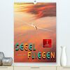 Segelfliegen - einfach Spaß (hochwertiger Premium Wandkalender 2024 DIN A2 hoch), Kunstdruck in Hochglanz