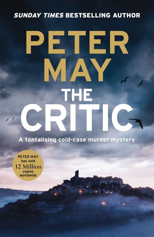 The Critic: A tantalising cold-case murder mystery (The Enzo Files Book 2)