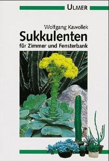 Sukkulenten für Zimmer und Fensterbank