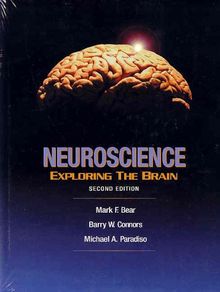 Neuroscience, w. CD-ROM: Exploring the Brain